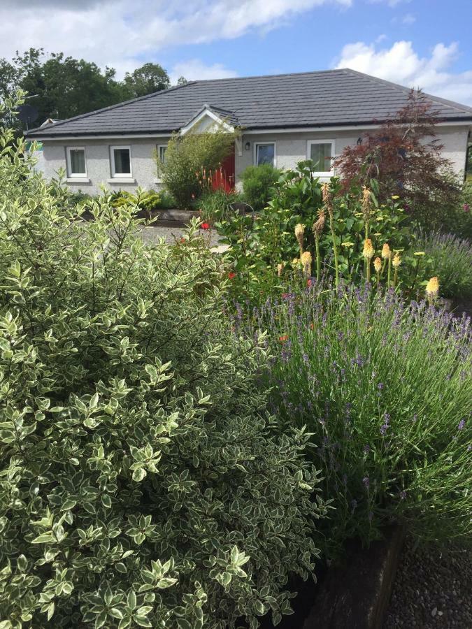 A Selection Of Self Catering Holiday Homes At Kilcloon Cottages ماينوث المظهر الخارجي الصورة